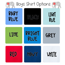 Boys Shirt and Short Set